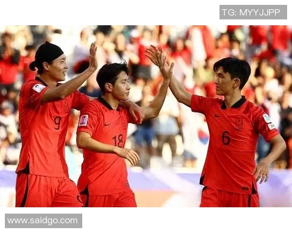 痛恨韩国足球明星背后的故事与争议引发的热议与思考