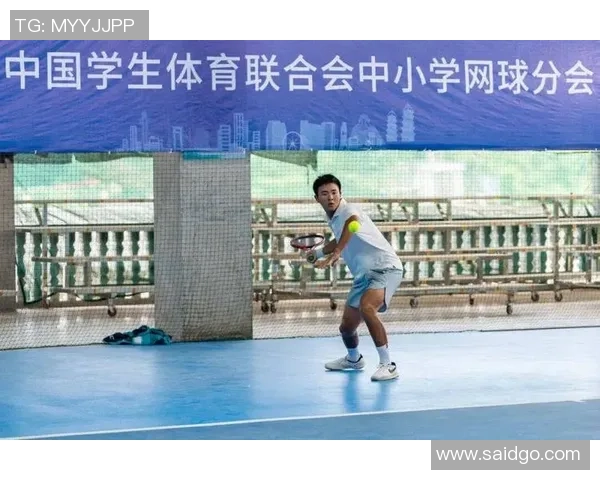 重庆网球队在全国网球团队协作排行榜中荣获第六名的佳绩引发关注